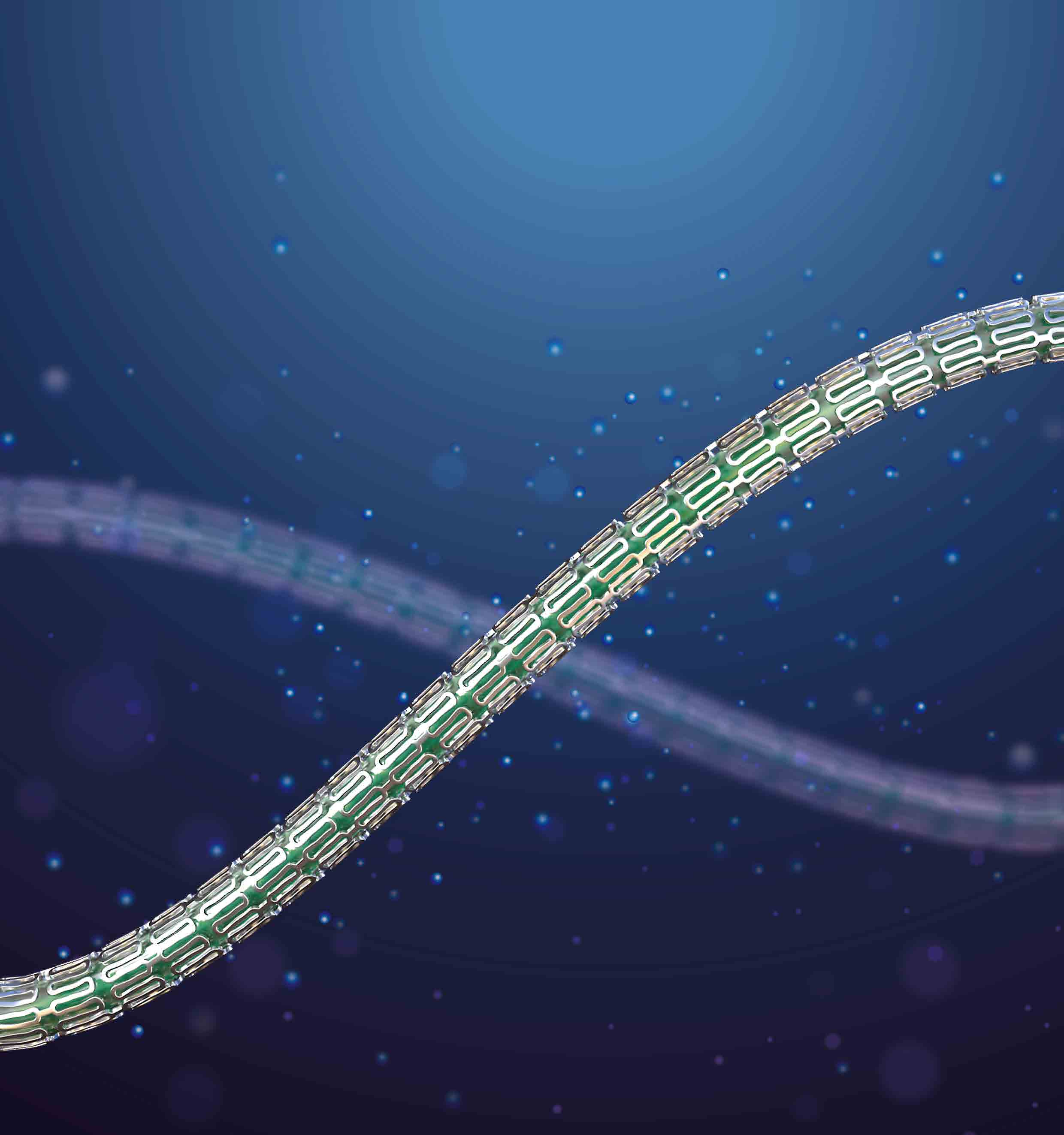 HT Supreme healing-targeted drug-eluting coronary stent